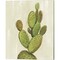 Front Yard Cactus by Silvia Vassileva 12" x 15" Canvas Wall Art (Set of 2)